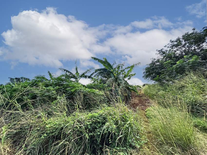 (Ref. MA7-668) Grand terrain agricole idéal pour un projet d'éco  - 4 - Land  on Aster Vender