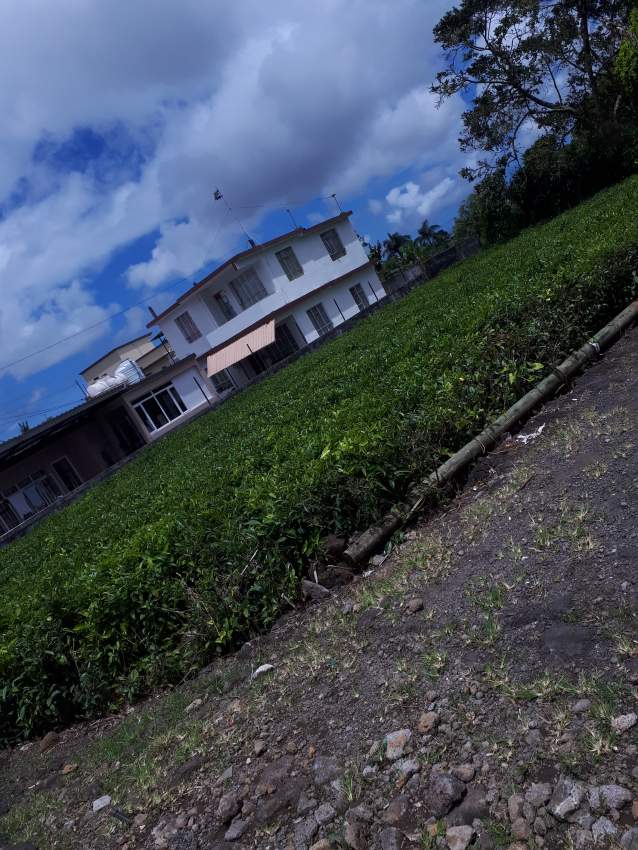 Residential land for sale  - 1 - Land  on Aster Vender