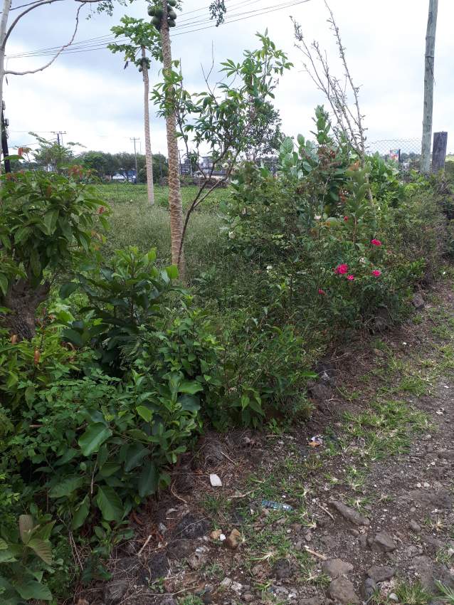 Residential land for sale  - 0 - Land  on Aster Vender