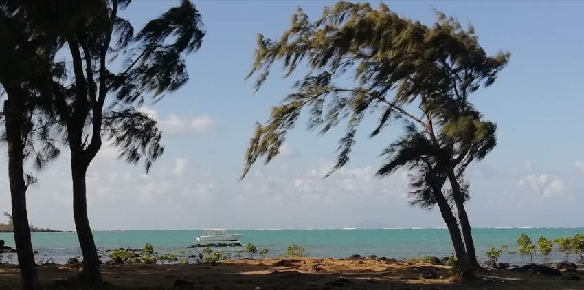 Wise investments in coastal regions Melville, Grand Gaube - 1 - Land  on Aster Vender