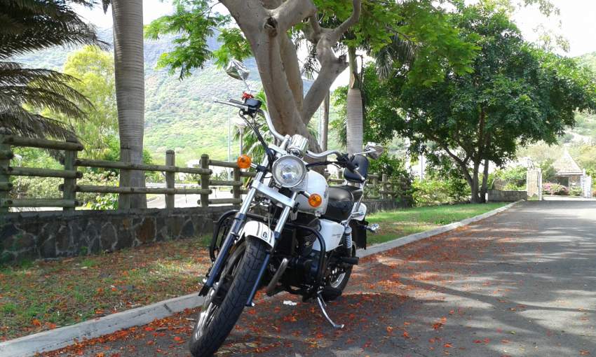 Benda Cruiser 250 - 8 - Cruisers & Choppers  on Aster Vender