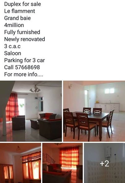 Dupplex for sale Le flamment - 0 - House  on Aster Vender