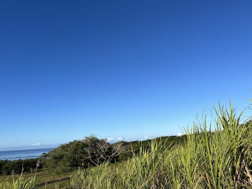 Agricultural Land Bel Ombre - 4 - Land  on Aster Vender