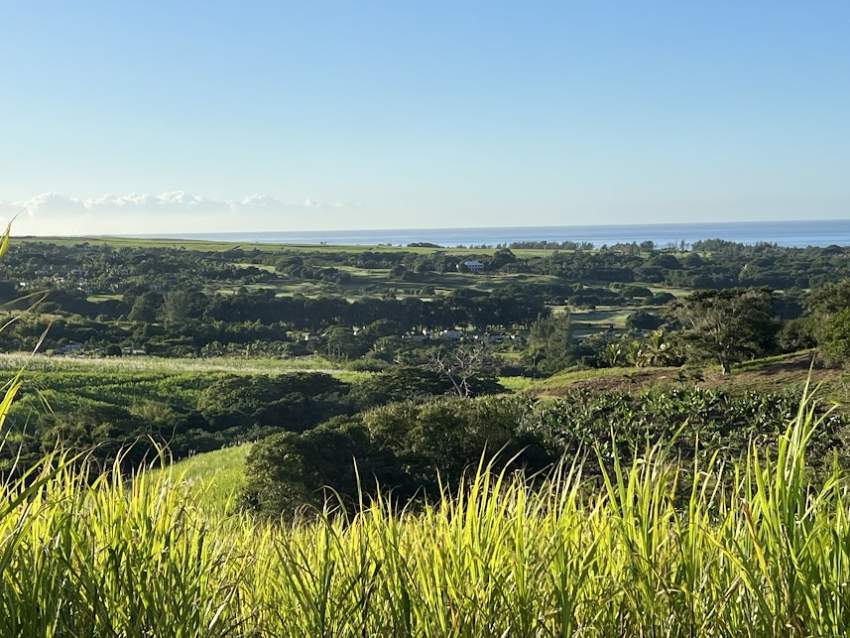 Agricultural Land Bel Ombre - 0 - Land  on Aster Vender