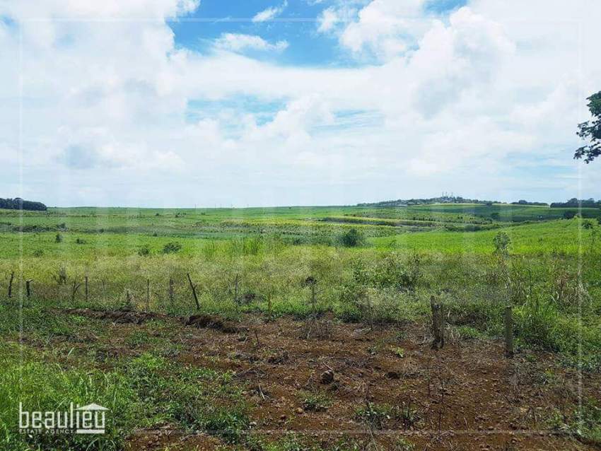 Agricultural land of 48 perches in Bois Mangues,Plaines Des Papayes - 1 - Land  on Aster Vender