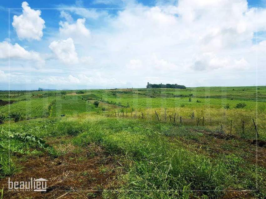 Agricultural land of 48 perches in Bois Mangues,Plaines Des Papayes - 0 - Land  on Aster Vender