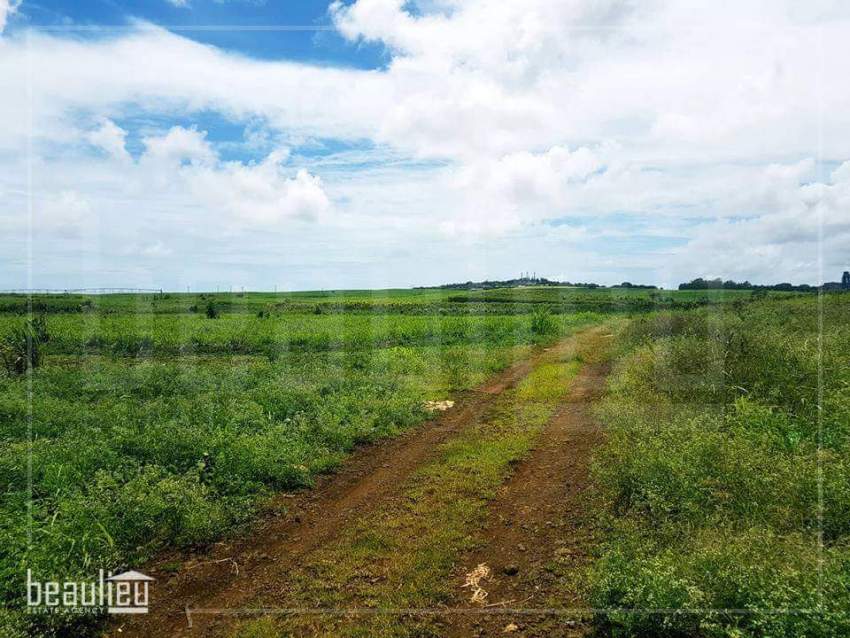 Agricultural land of 48 perches in Bois Mangues,Plaines Des Papayes - 2 - Land  on Aster Vender