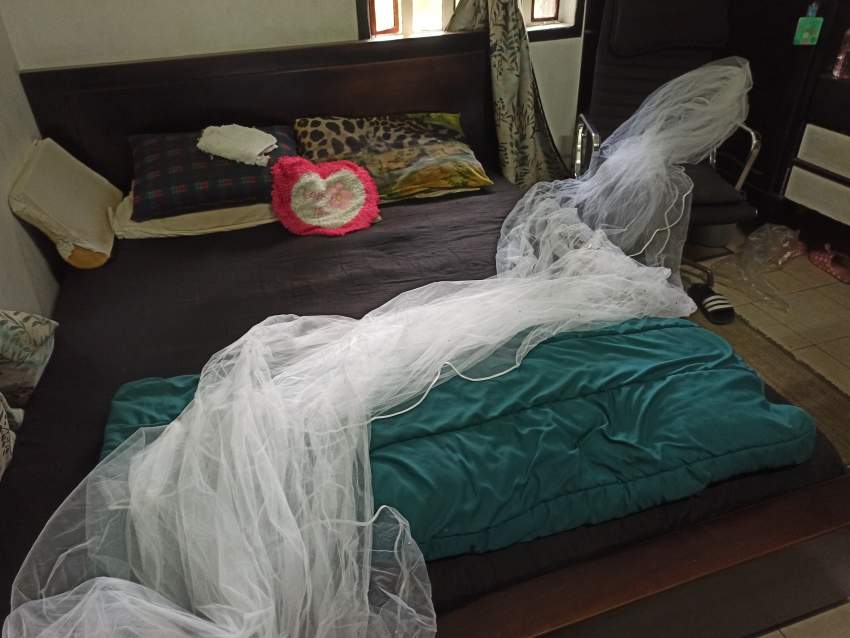 Voile de mariée  - 0 - Dresses (Women)  on Aster Vender