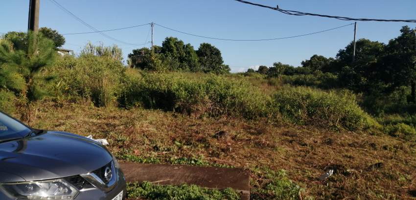 Morcellement Pinewood - 3 - Land  on Aster Vender