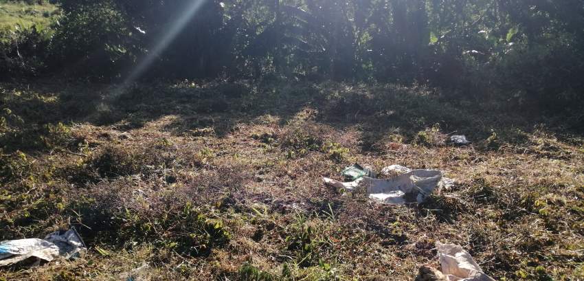 Morcellement Pinewood - 2 - Land  on Aster Vender