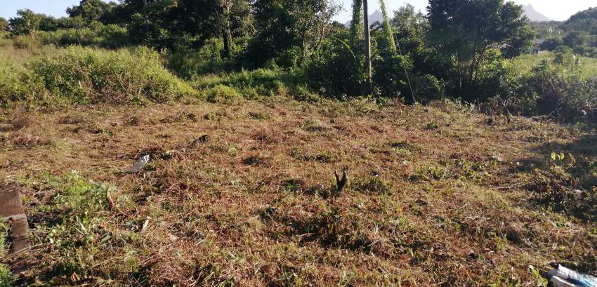 Morcellement Pinewood - 4 - Land  on Aster Vender