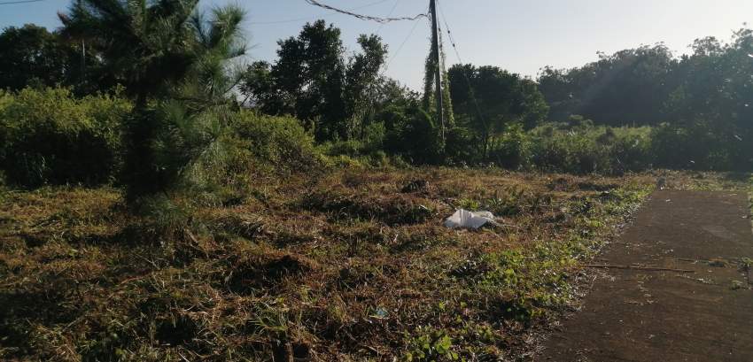 Morcellement Pinewood - 1 - Land  on Aster Vender