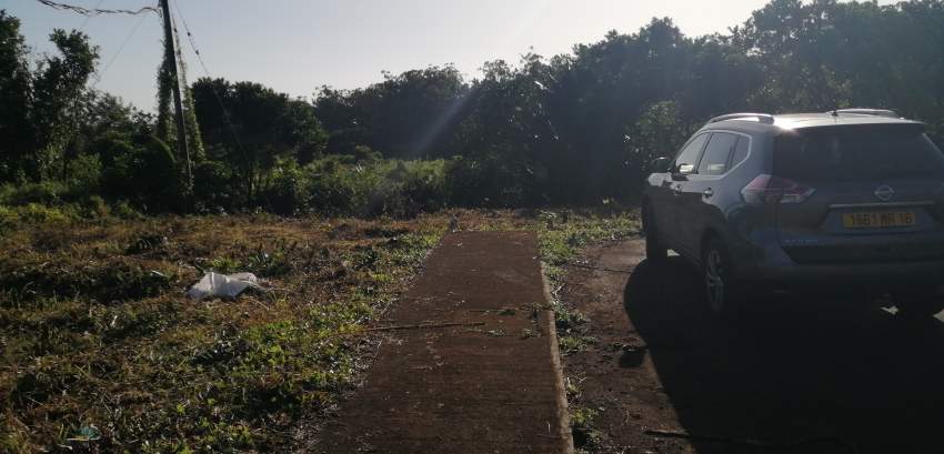 Morcellement Pinewood - 0 - Land  on Aster Vender