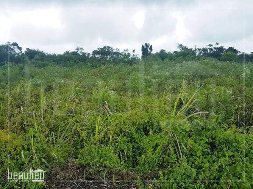 Residential land of 18.64 perches in Camp Thorel - 0 - Land  on Aster Vender