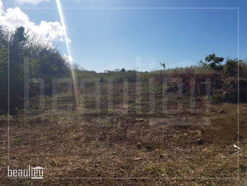 Four plots of residential land of 12.20 perches are for sale in Calody - 1 - Land  on Aster Vender
