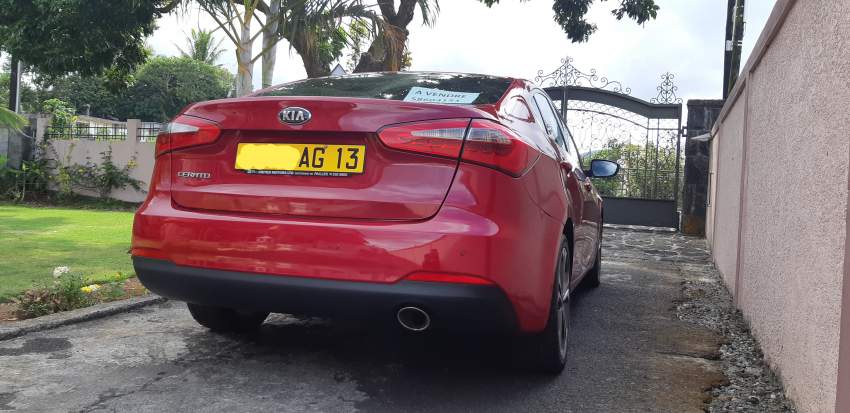 KIA Cerato - 3 - Family Cars  on Aster Vender