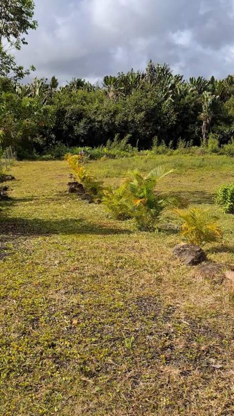 Land - 0 - Land  on Aster Vender