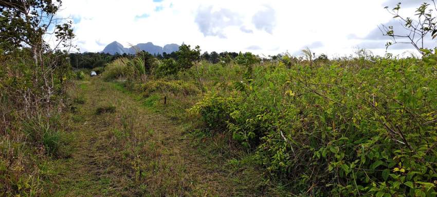 Agricultural Land for Sale – St Pierre/Verdun - 0 - Land  on Aster Vender