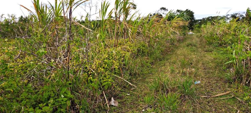 Agricultural Land for Sale – St Pierre/Verdun - 2 - Land  on Aster Vender