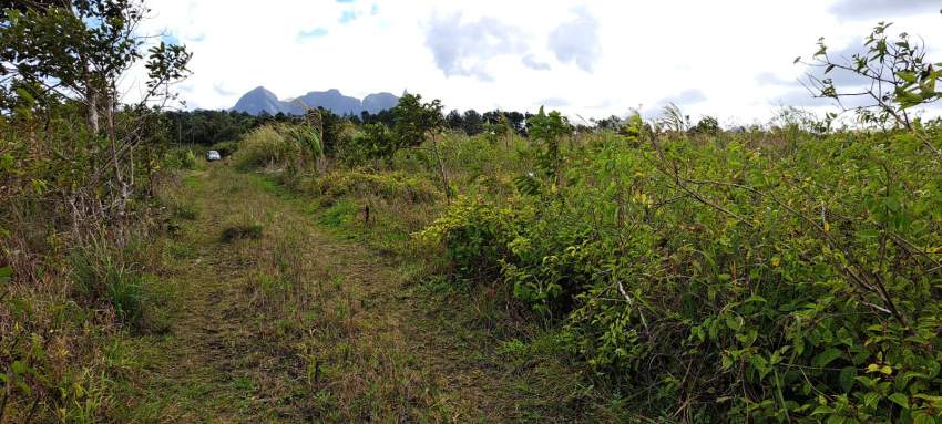 Agricultural Land for Sale – St Pierre/Verdun - 1 - Land  on Aster Vender