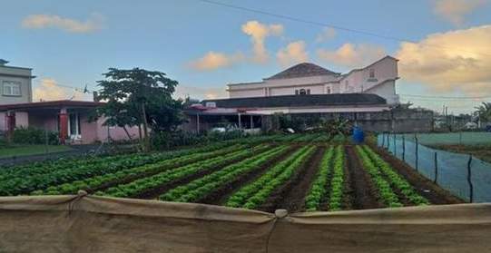 Land for Sale at Morc. Blue Print, Tyack  - 1 - Land  on Aster Vender