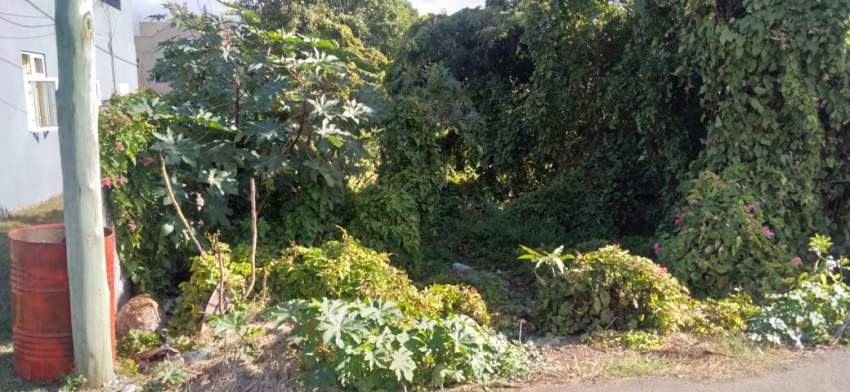 Beautiful Land for Sale at Grand Gaube  - 1 - Land  on Aster Vender