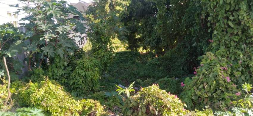 Beautiful Land for Sale at Grand Gaube  - 3 - Land  on Aster Vender