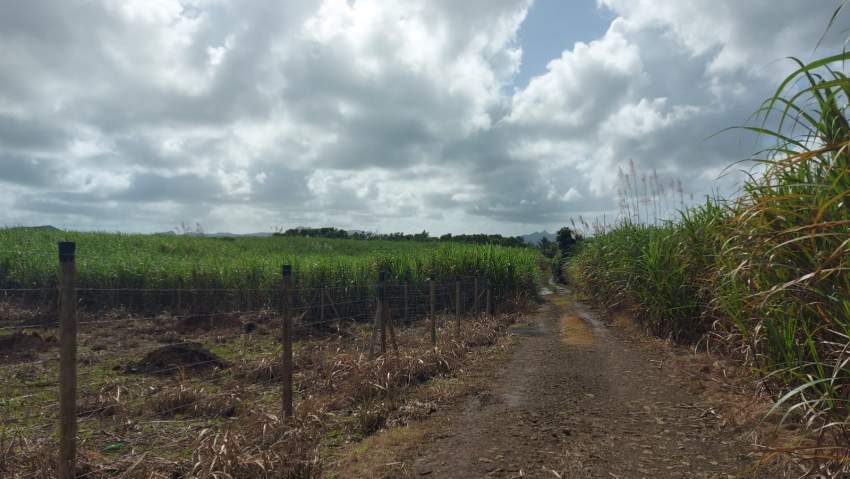 Land – Agricultural – SALE – Deux Bras – 1 Acre - Land at AsterVender