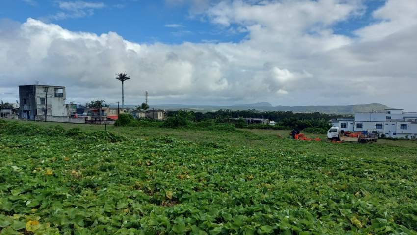 Residential Land for Sale at Floreal - 17 Perches  - 7 - Land  on Aster Vender