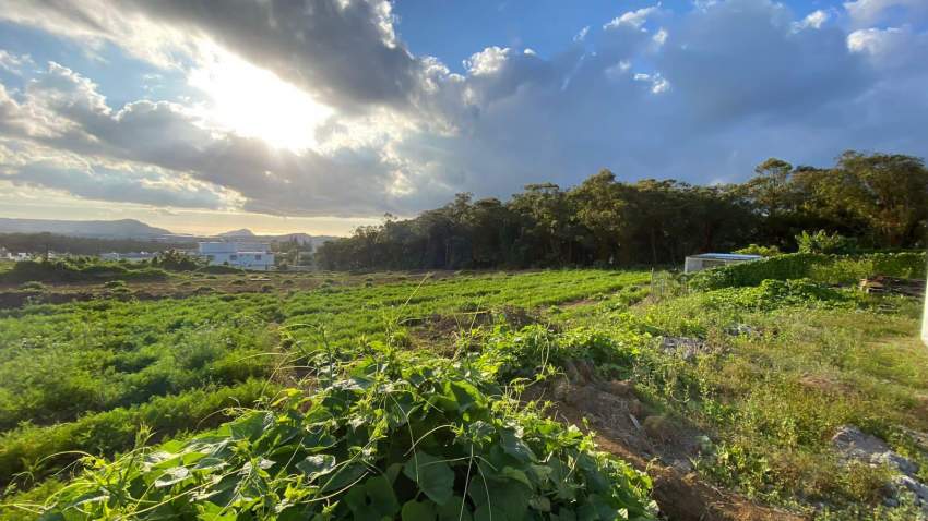 Residential Land for Sale at Floreal - 17 Perches  - 3 - Land  on Aster Vender