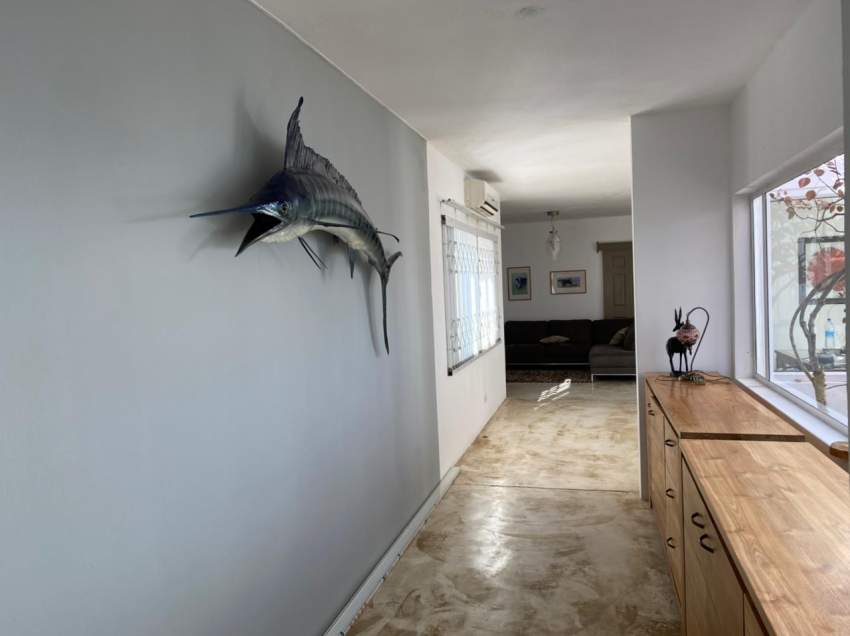 A Luxurious property at Chevreau Lane, Calodyne, Grand Gaube.  - 0 - Villas  on Aster Vender