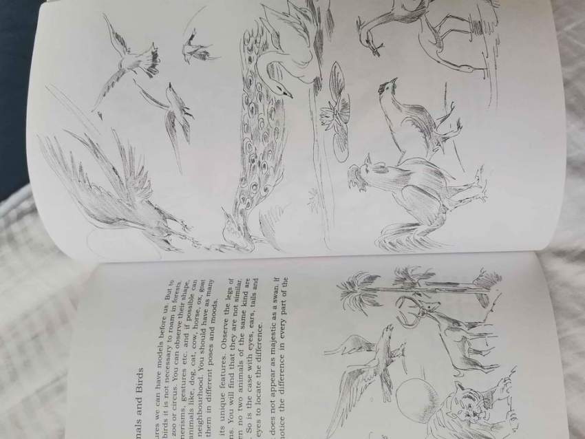 sketching pratap muluck - 1 - Art & design  on Aster Vender