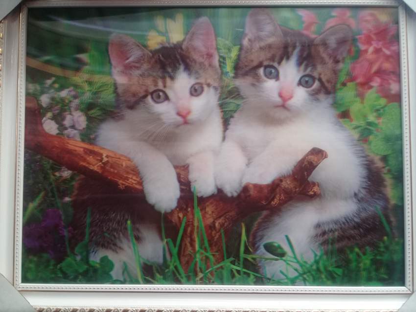 3D photo  - 0 - Creative crafts  on Aster Vender