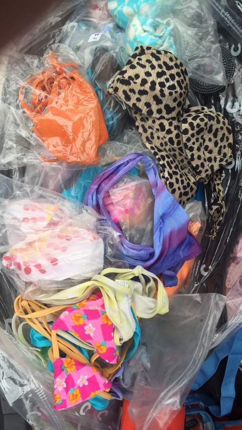 Bikini on Aster Vender