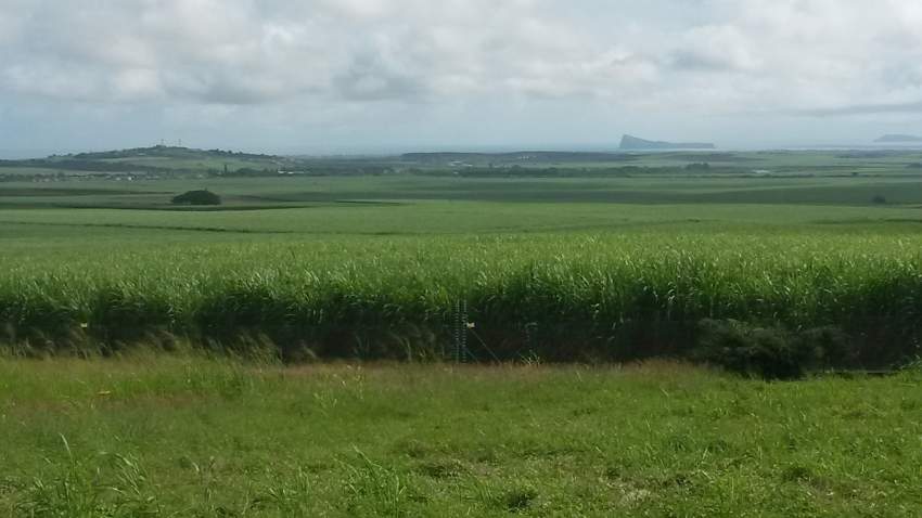 UNIQUE OPPORTUNITY: Large plot of land with breathtaking views of the  - 1 - Land  on Aster Vender