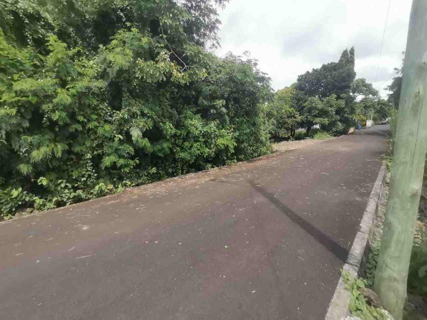 Terrain à Vendre La Clemence Rivière Du Rempart - 4 - Land  on Aster Vender