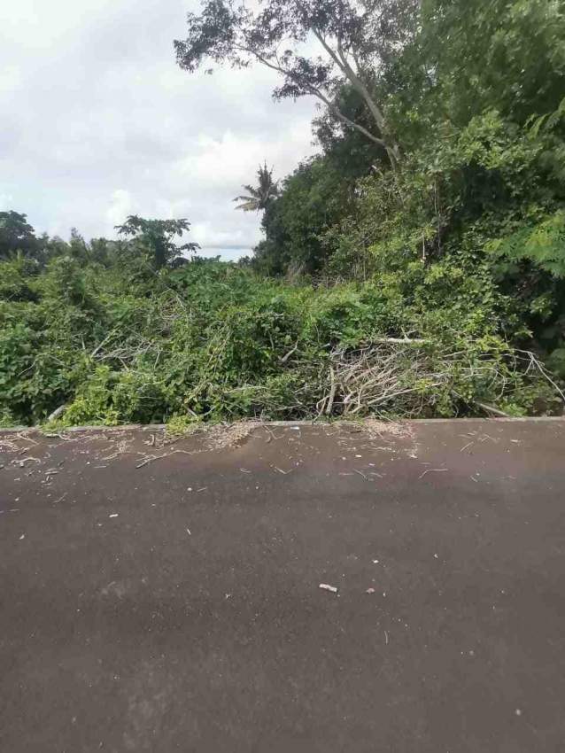 Terrain à Vendre La Clemence Rivière Du Rempart - 2 - Land  on Aster Vender