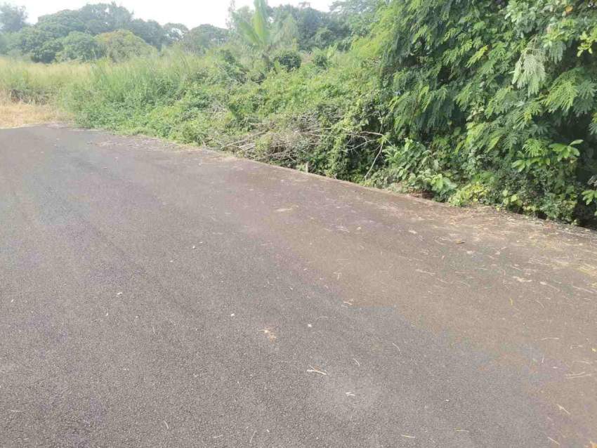 Terrain à Vendre La Clemence Rivière Du Rempart - 7 - Land  on Aster Vender