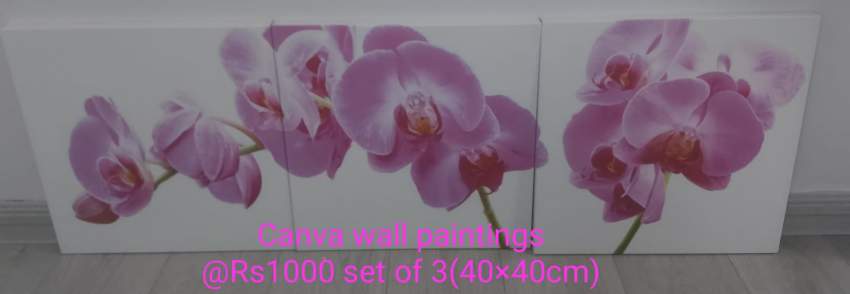 Canva wall painting on Aster Vender