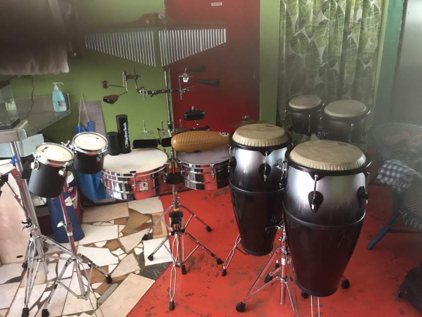 Percussion on Aster Vender