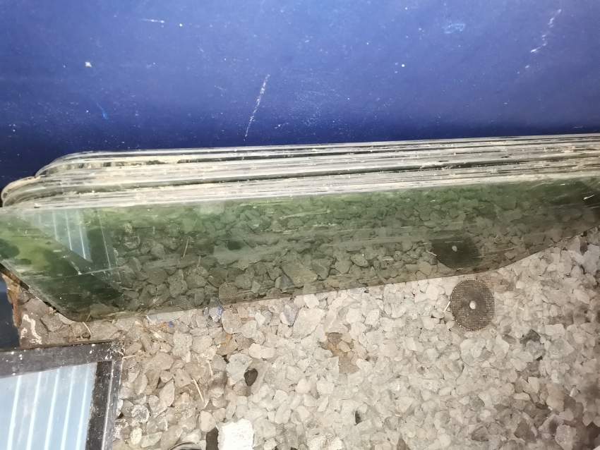 Bus side window pane - 0 - Spare Parts  on Aster Vender