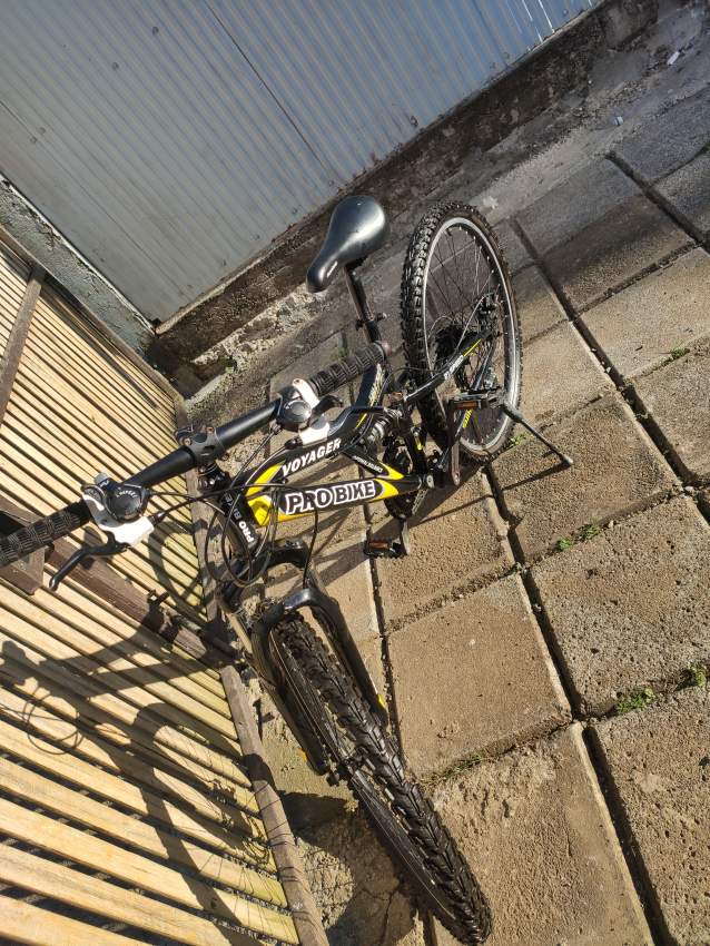 Bicycle  - 4 - Road bicycles  on Aster Vender