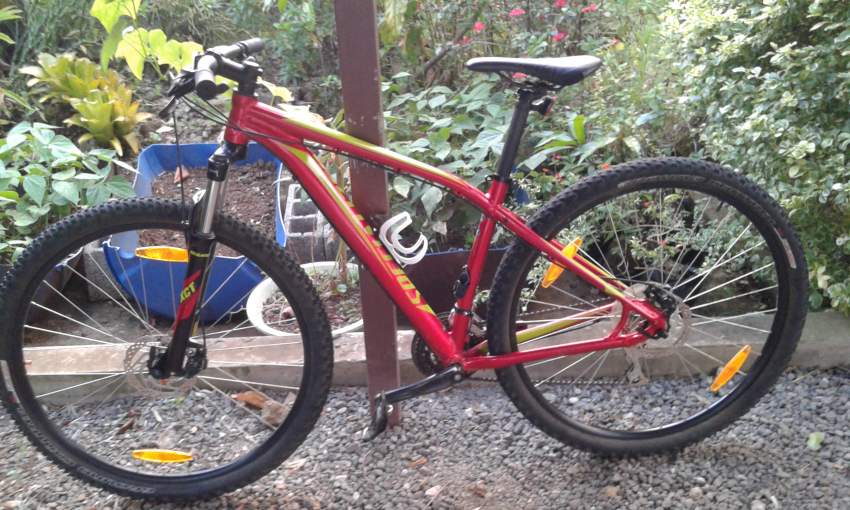 Mountain bike Specialised Rockhopper - 0 - Mountain bicycles  on Aster Vender