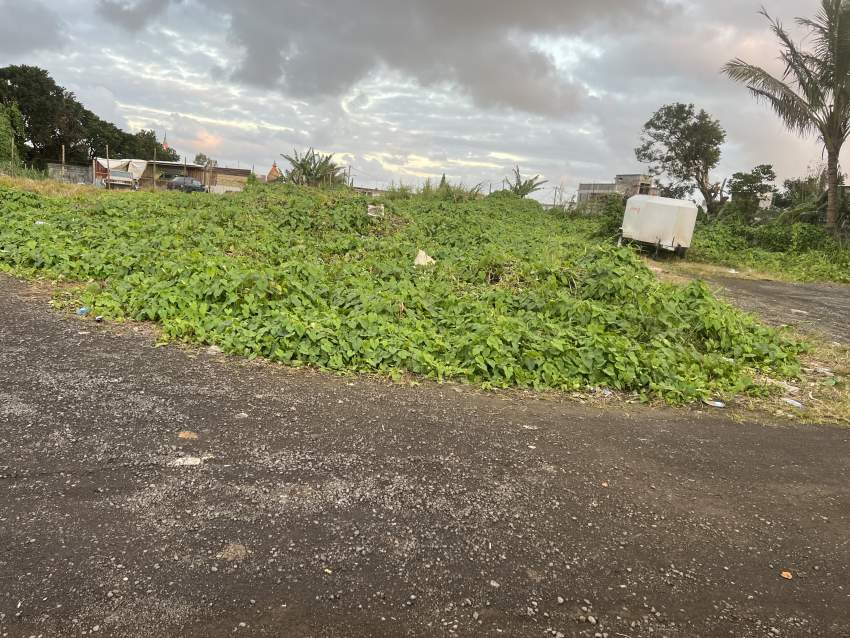 Residential land Rose belle Aster Vender Land