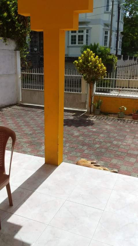 Campement 3 chambres - 0 - Apartments  on Aster Vender