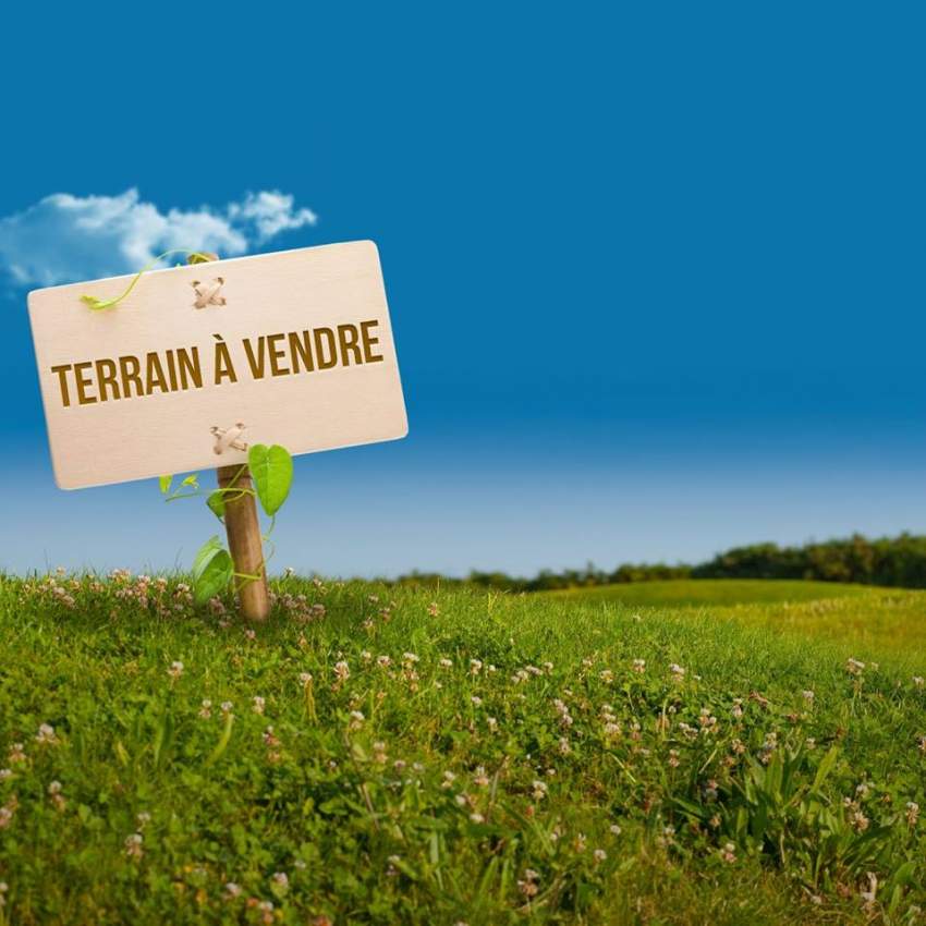 Terrain Agricole a Plaine Sophie Henrietta - 0 - Land  on Aster Vender