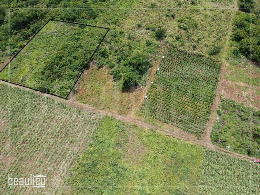 Two plots of 24 and 20 perches,  Reunion Maurel - 2 - Land  on Aster Vender