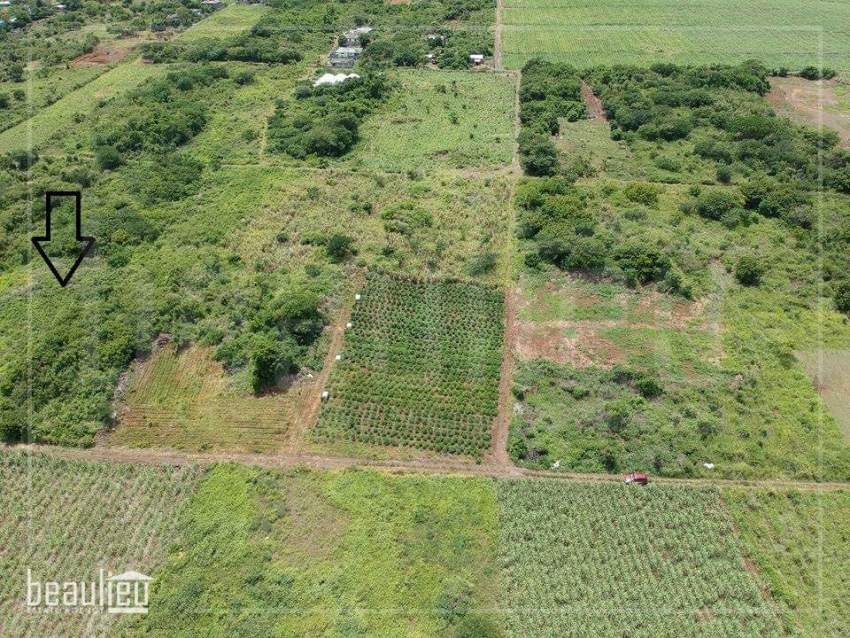 Two plots of 24 and 20 perches,  Reunion Maurel - 1 - Land  on Aster Vender