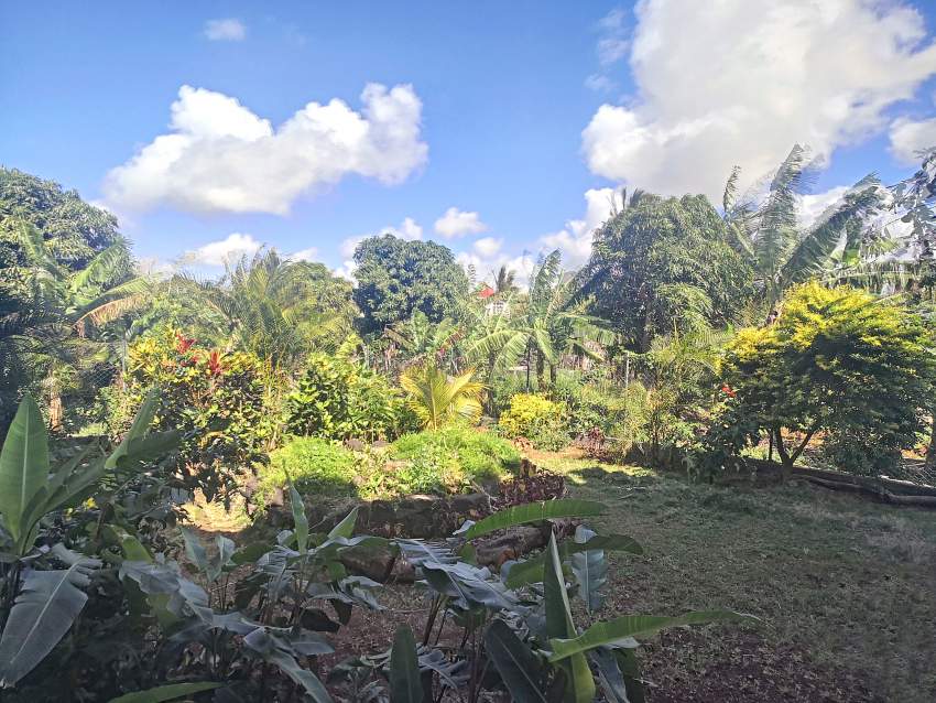 (Ref. MA7-739) Grande maison meublée avec un grand jardin arboré - 1 - House  on Aster Vender