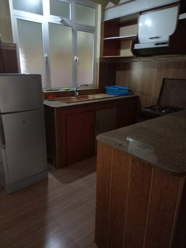 Fully furnished house for rent - 1 - House  on Aster Vender